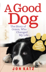 Book cover of A Good Dog by Jon Katz