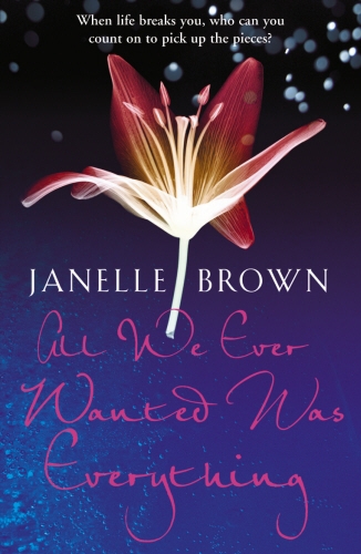 Book cover of All We Ever Wanted Was Everything by Janelle Brown