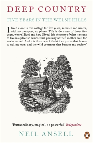 Book cover of Deep Country by Neil Ansell