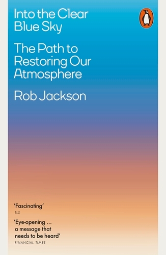 Book cover of Into the Clear Blue Sky by Rob Jackson