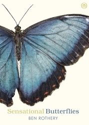 Book cover of Sensational Butterflies by Ben Rothery