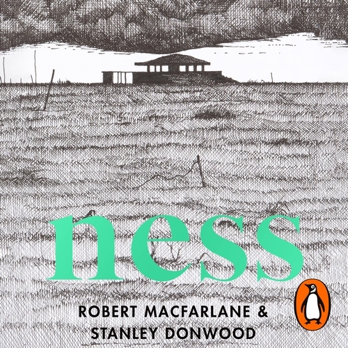 Book cover of Ness by Robert Macfarlane, Stanley Donwood