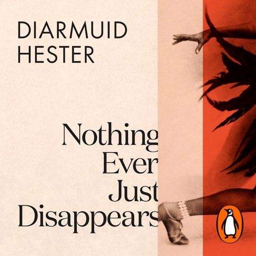 Book cover of Nothing Ever Just Disappears by Diarmuid Hester