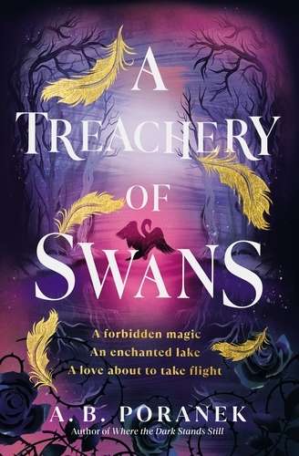 Book cover of A Treachery of Swans by A. B. Poranek