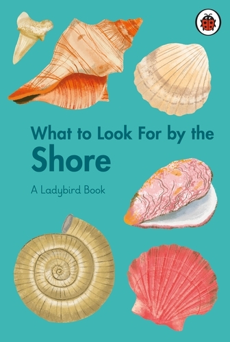 Book cover of What to Look For by the Shore by Becky Brown