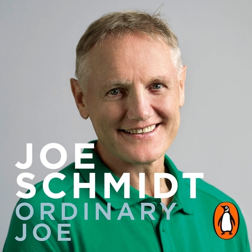 Book cover of Ordinary Joe by Joe Schmidt