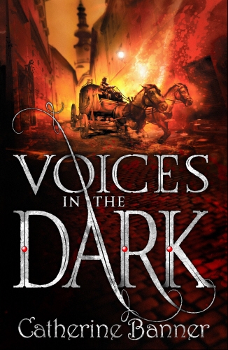 Book cover of #2 - Voices in the Dark by Catherine Banner