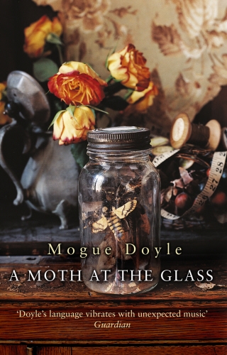 Book cover of A Moth At The Glass by Mogue Doyle
