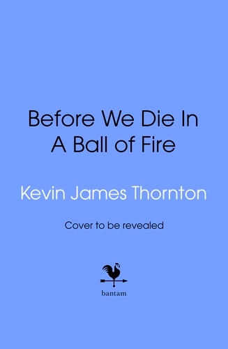 Book cover of Big Baby by Kevin James Thornton
