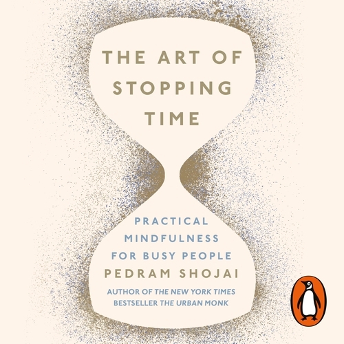 Book cover of The Art of Stopping Time by Pedram Shojai
