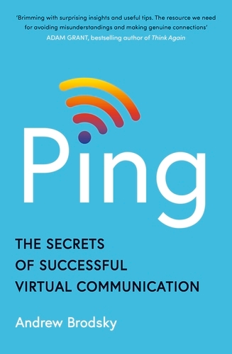Book cover of Ping by Andrew Brodsky