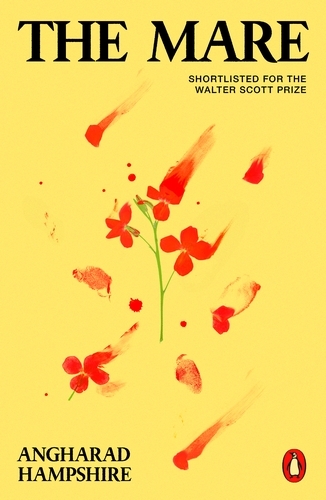 Book cover of The Mare by Angharad Hampshire