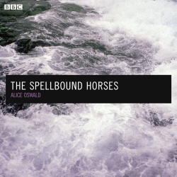 Book cover of The Spellbound Horses by Julia Blackburn