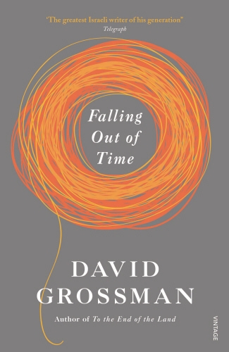 Book cover of Falling Out of Time by David Grossman