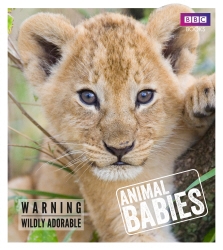 Book cover of Animal Babies by Laura Barwick