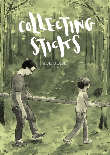 Book cover of Collecting Sticks by Joe Decie