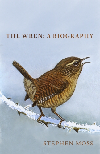 Book cover of The Wren by Stephen Moss