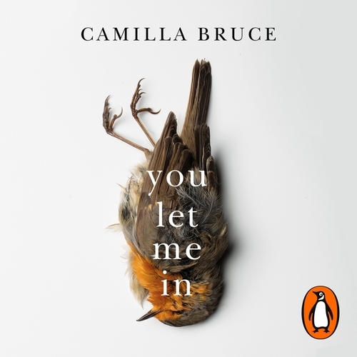 Book cover of You Let Me In by Camilla Bruce