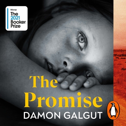 Book cover of The Promise by Damon Galgut