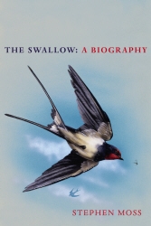 Book cover of The Swallow by Stephen Moss