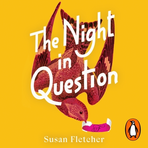 Book cover of The Night in Question by Susan Fletcher