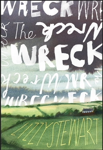Book cover of The Wreck by Lizzy Stewart
