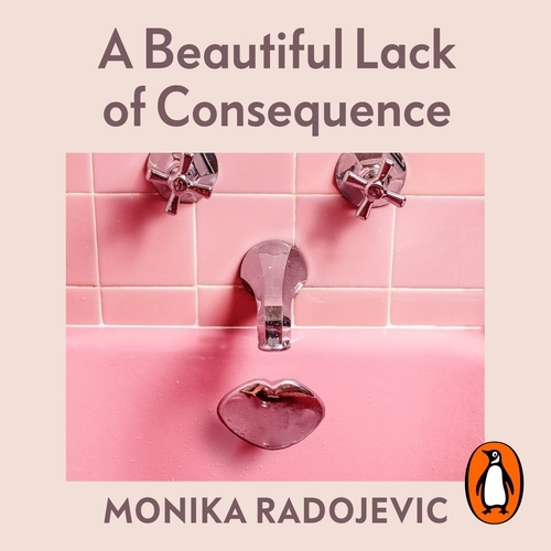 Book cover of A Beautiful Lack of Consequence by Monika Radojevic