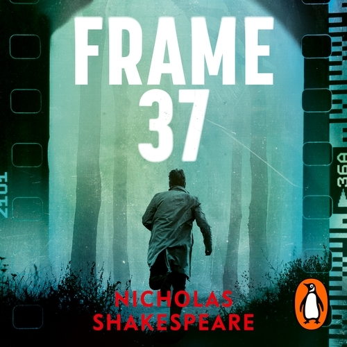 Book cover of Frame 37 by Nicholas Shakespeare