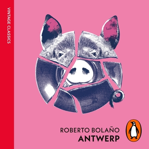Book cover of Antwerp by Roberto Bolaño
