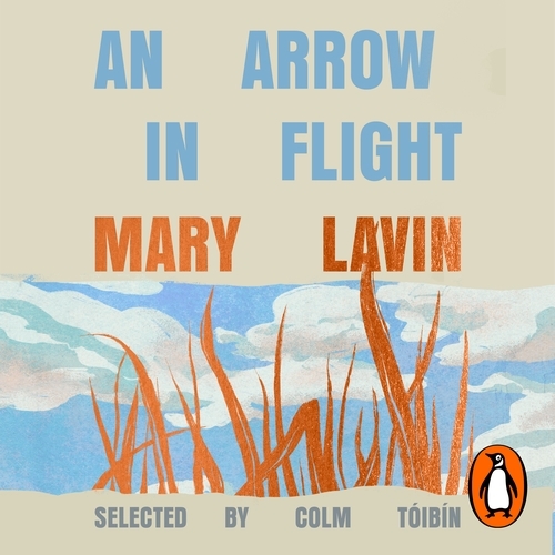 Book cover of An Arrow in Flight by Mary Lavin