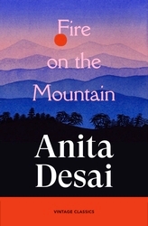 Book cover of Fire On The Mountain by Anita Desai
