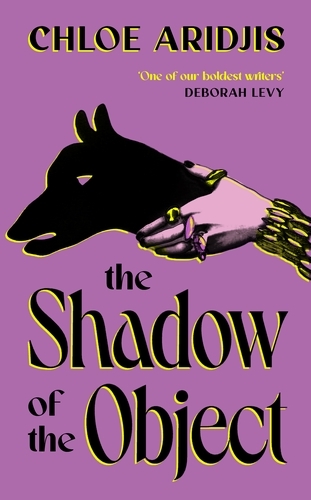 Book cover of The Shadow of the Object by Chloe Aridjis
