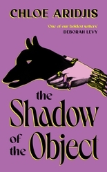 Book cover of The Shadow of the Object by Chloe Aridjis