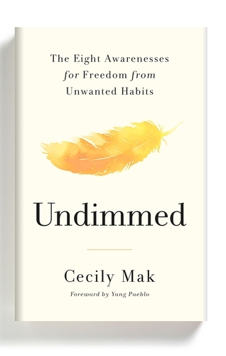 Book cover of Undimmed by Cecily Mak
