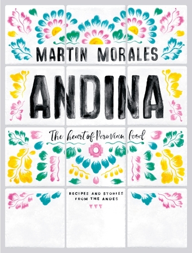 Book cover of Andina by Martin Morales