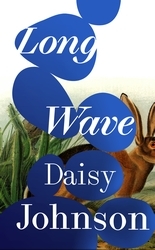 Book cover of Long Wave by Daisy Johnson