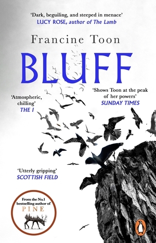Book cover of Bluff by Francine Toon