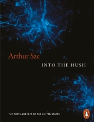 Book cover of Into the Hush by Arthur Sze