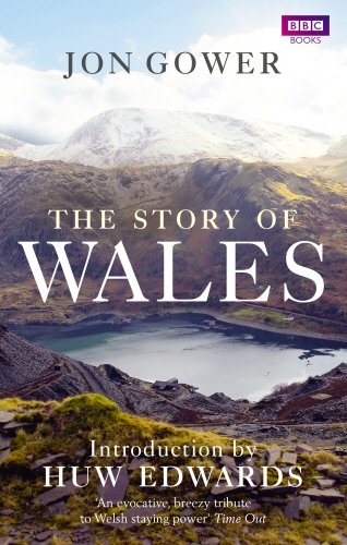 Book cover of The Story of Wales by Jon Gower