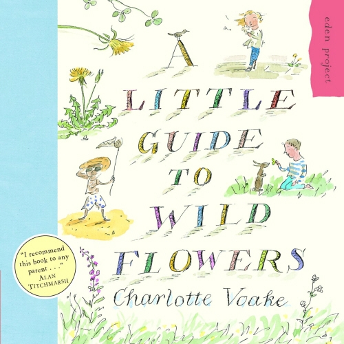 Book cover of A Little Guide To Wild Flowers by Charlotte Voake