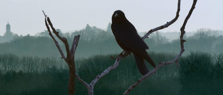 The curse of Macbeth: is it more that superstition?