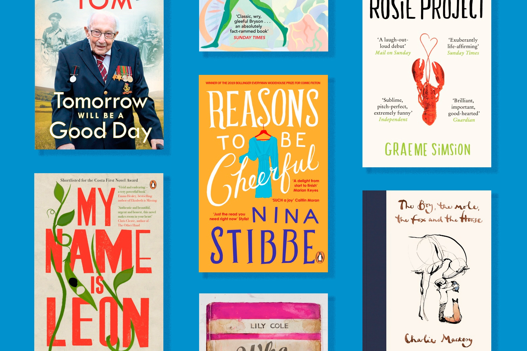 A flatlay of book against a blue backdrop