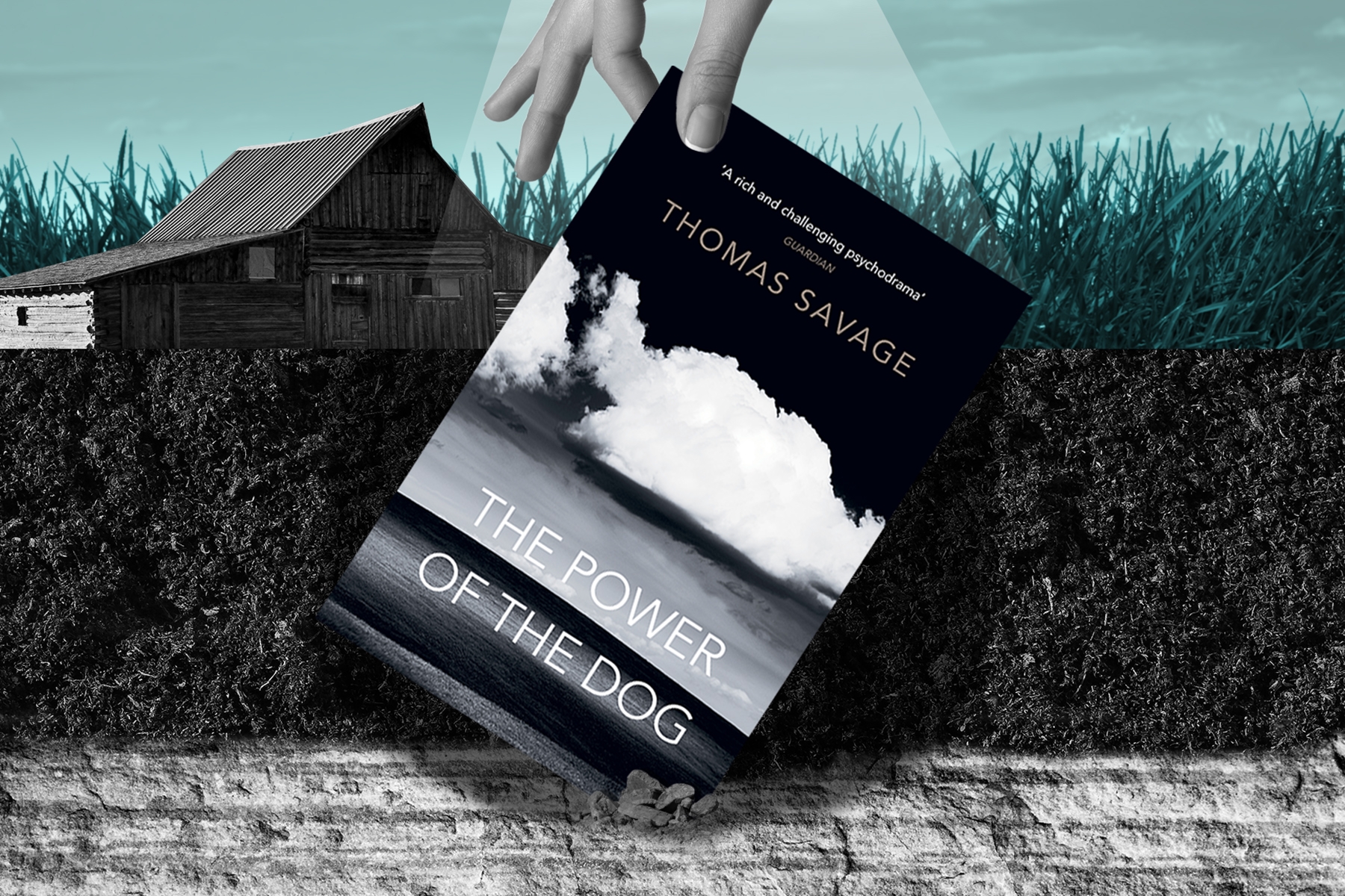 An image of The power of the Dog book against the Montana backdrop