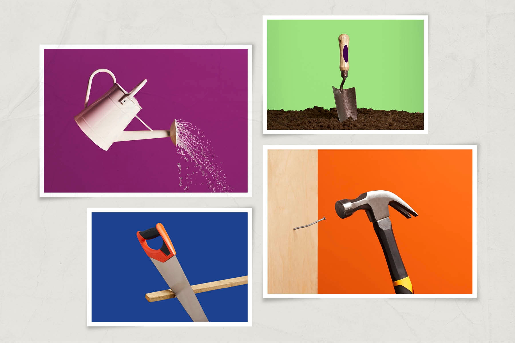 The best DIY and gardening books
