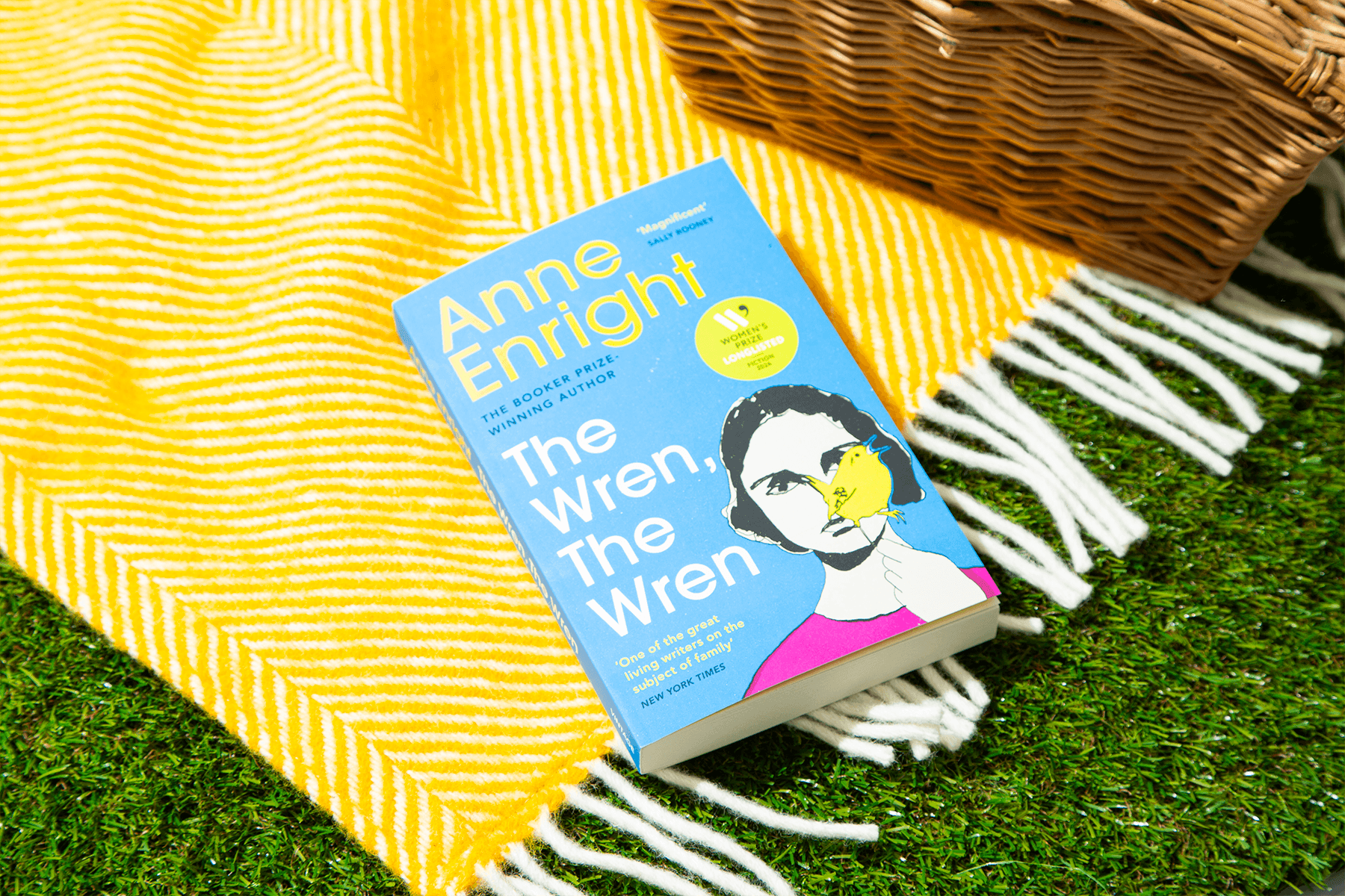 Extract: The Wren, The Wren by Anne Enright