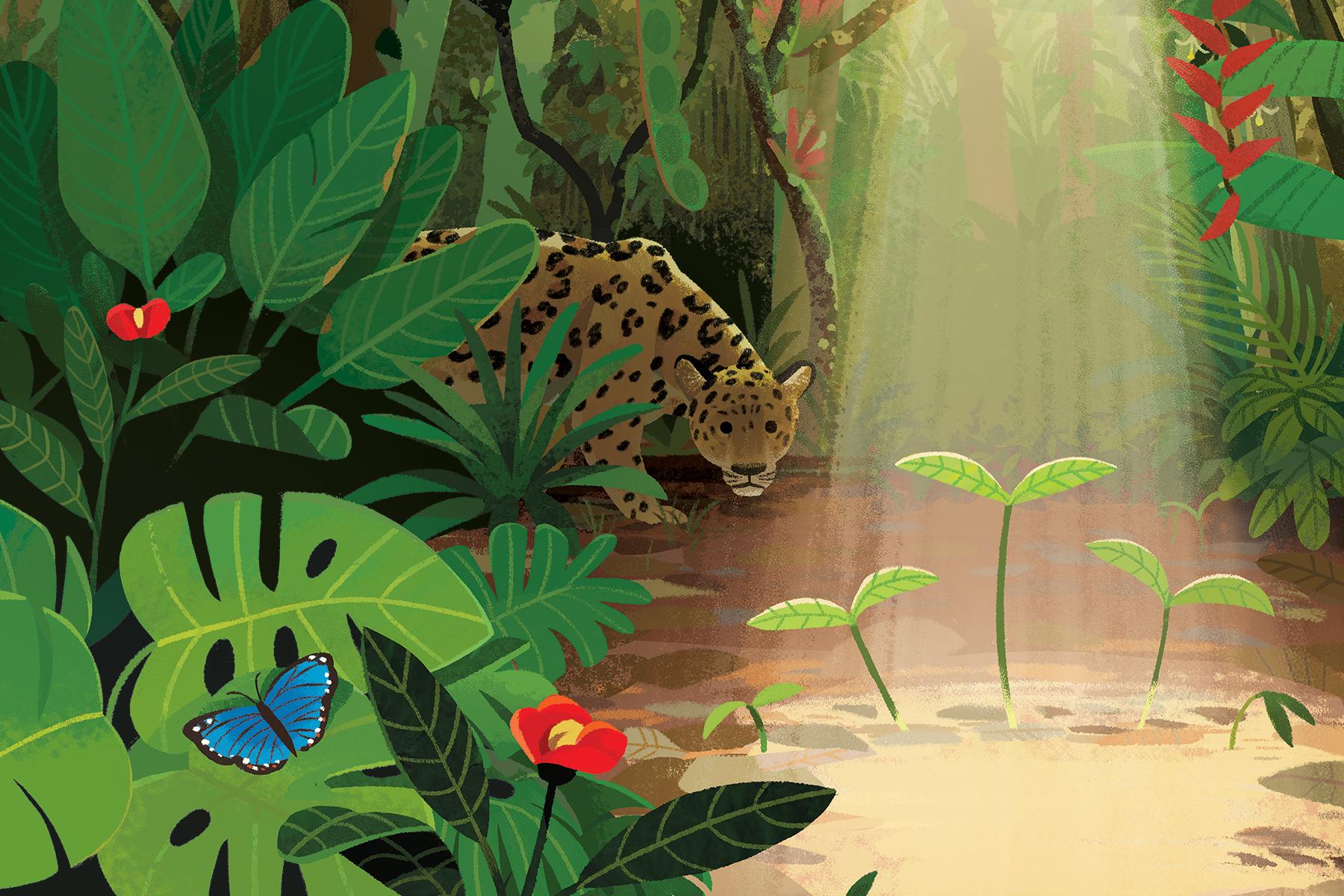 10 amazing plant facts from The Green Planet