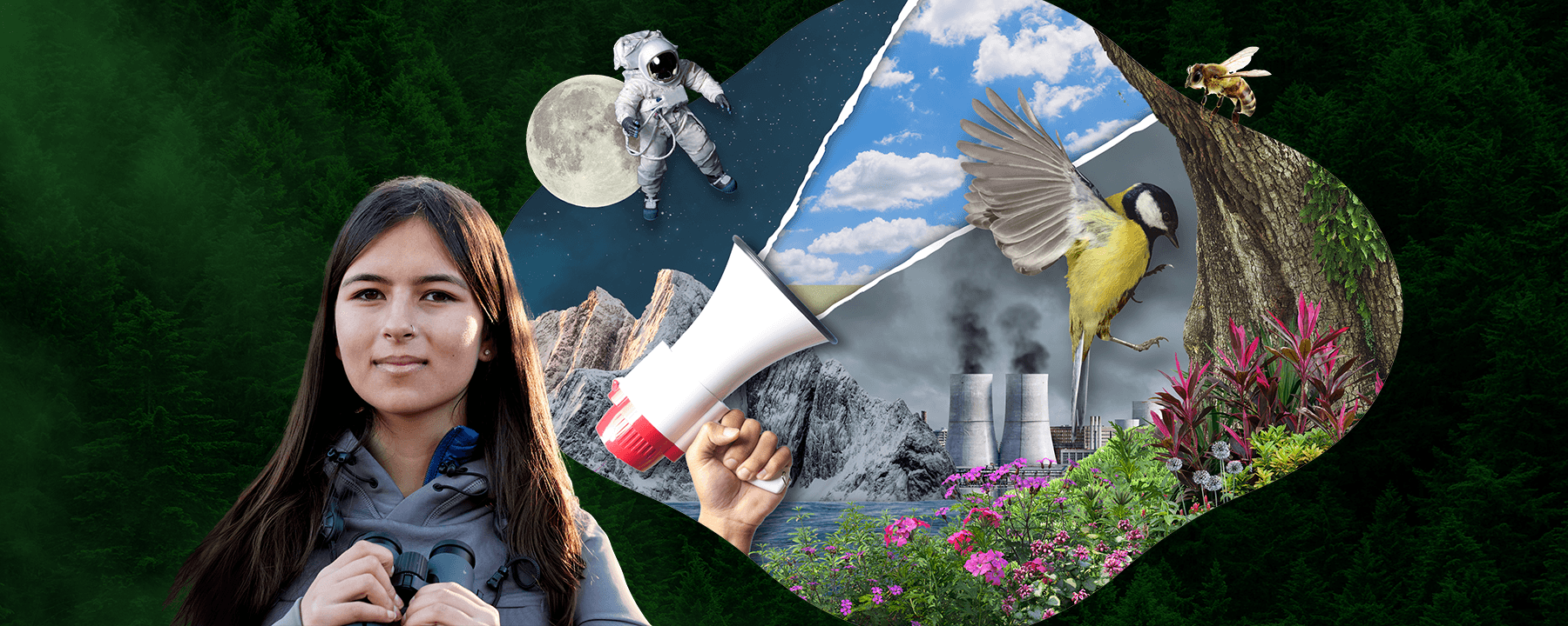 The Penguin books that challenged our view of the environment