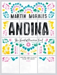 Book cover of Andina by Martin Morales