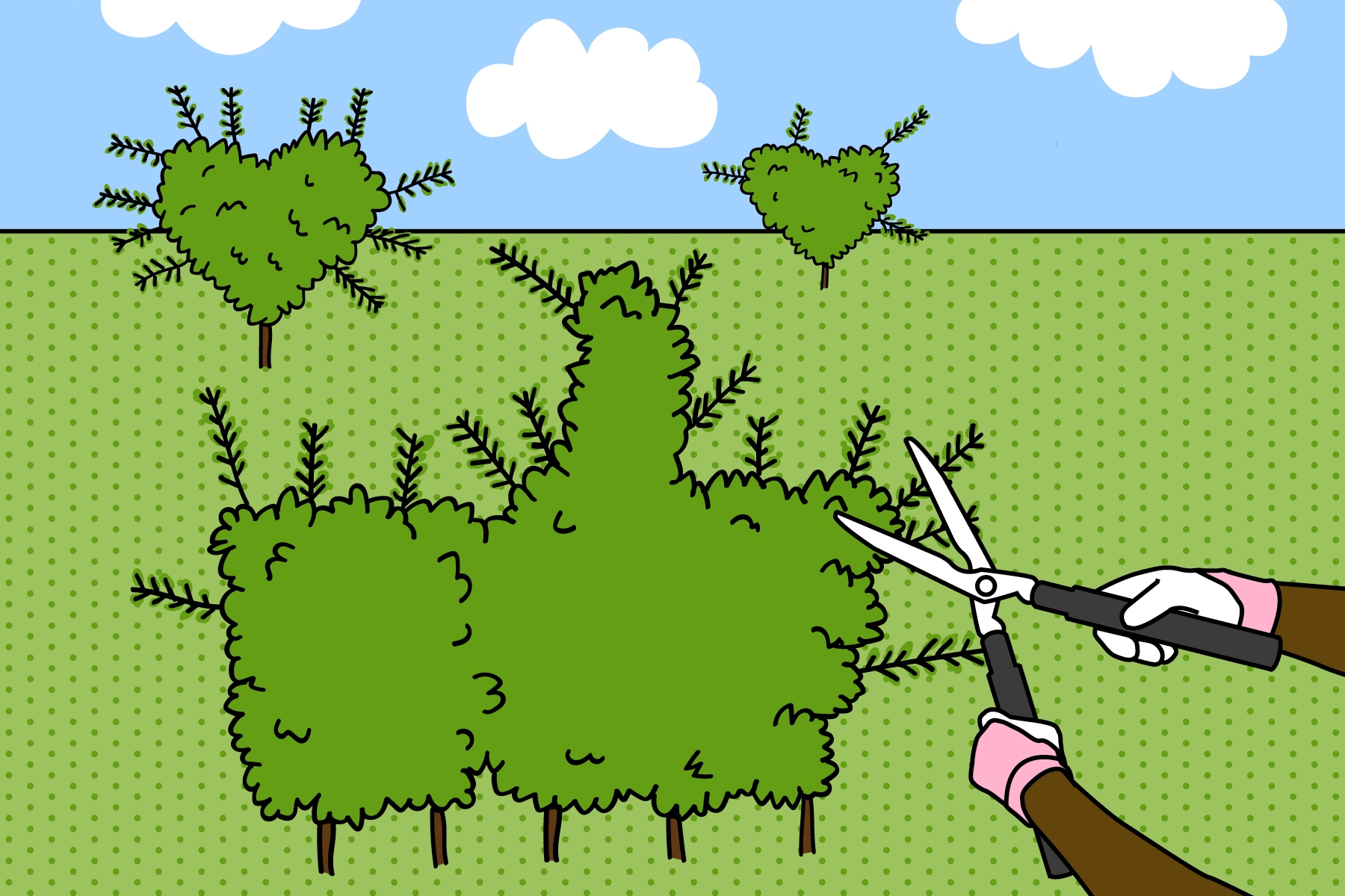 Books to help ease your social media use